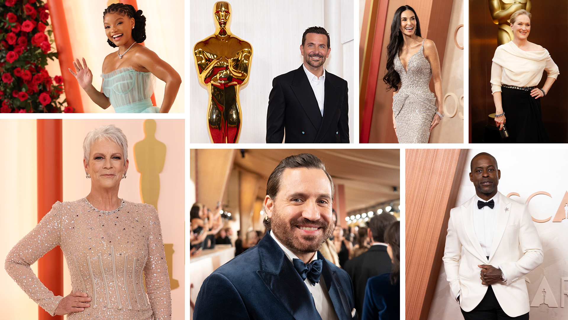 Oscars Red Carpet CollagesOscars Red Carpet Collage 2